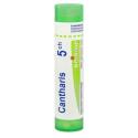 CANTHARIS 5CH granule 4 g