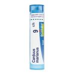 CARDUUS MARIANUS 9CH granule 4 g