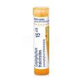 CAULOPHYLLUM THALICTROIDES CH15 granule 4 g