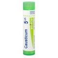 CAUSTICUM 5CH granule 4 g