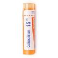 COLIBACILLINUM CH15 granule 4 g