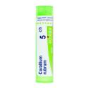 CORALLIUM RUBRUM CH5 granule 4 g