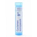 CYCLAMEN EUROPAEUM CH9 granule 4 g