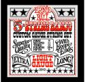 Ernie Ball Light 5-String Loop End Stainless Steel Banjo Guitar Strings
