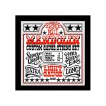 Ernie Ball 2323 Light Loop End Mandolin