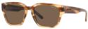 ARNETTE AN4294 121873 - M (54-19-145)