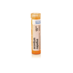 ACONITUM NAPELLUS 15CH granule 4 g