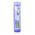 ACONITUM NAPELLUS 30CH granule 4 g