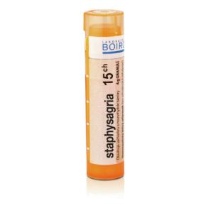 STAPHYSAGRIA 15CH granule 4 g