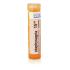 STAPHYSAGRIA 15CH granule 4 g