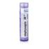 STAPHYSAGRIA 30CH granule 4 g