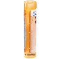 PULSATILLA 15CH granule 4 g