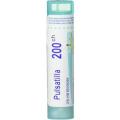 PULSATILLA 200CH granule 4 g