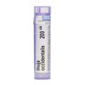 THUYA OCCIDENTALIS 200CH granule 4 g