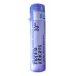 MONILIA ALBICANS 30CH granule 4 g