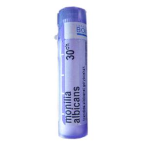MONILIA ALBICANS 30CH granule 4 g