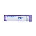 STRAMONIUM gra 1x4g (200CH)