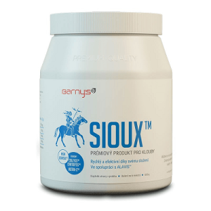 BARNY`S Sioux MSM super forte 600 g