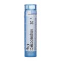 RHUS TOXICODENDRON 30CH granule 4 g