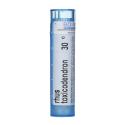 RHUS TOXICODENDRON 30CH granule 4 g
