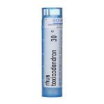 RHUS TOXICODENDRON 30CH granule 4 g