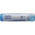 AVENA SATIVA 9CH granule 4 g