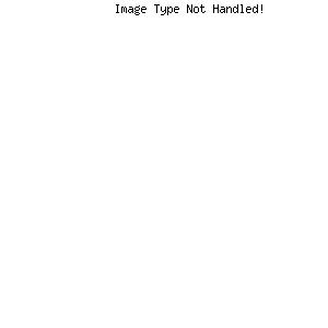 SACHS Tlmič pérovania 313402