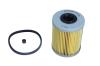 MAXGEAR Palivový filter 260075
