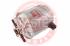 MASTER-SPORT Palivový filter 40416KFPCSMS