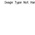 CORTECO Brzdová hadica 19031069
