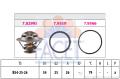FACET Termostat chladenia 78299