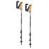 Leki Legacy Lite 2022