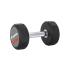 inSPORTline Profi CPU 12,5kg