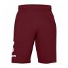 Under Armour Sportstyle Cotton Graphic Short Cordova - M