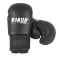Spartan Full kontakt