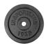 inSPORTline Castblack 10 kg