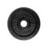 inSPORTline Castblack 2,5 kg