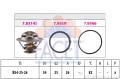 FACET Termostat chladenia 78314