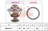 EPS Termostat chladenia 1880831