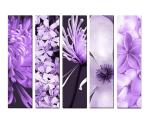 5-dielny obraz na plátne 5x20x80cm KVETY fialový