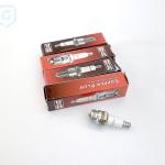 CHAMPION Zapaľovacia sviečka RDJ7JD