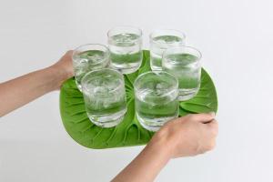 Odkapávač Qualy Baibua Tray, zelený