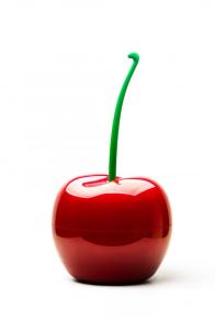 Odpadkový kôš Qualy Cherry Bin