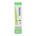 ALUMINA CH5 granule 4 g