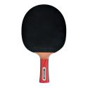 DONIC Waldner 1000
