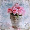 Obraz na plátne 28X28cm KVET v črepníku