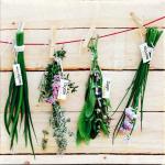 Obraz na plátne 28X28cm BYLINKY