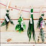 Obraz na plátne 28X28cm BYLINKY 2