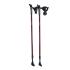 Spartan Nordic Walking