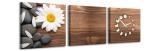 3 dielne obrazové hodiny, Daisy, 35x105cm